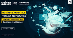 Business Analytics Training