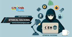 Ethical Hacking Training