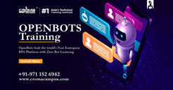 OpenBots Online Training in India