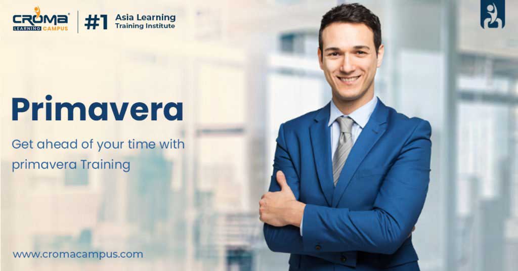 Primavera Online Training