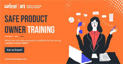 SAFe Product Owner Online Training