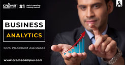 Business Analytics Online Training