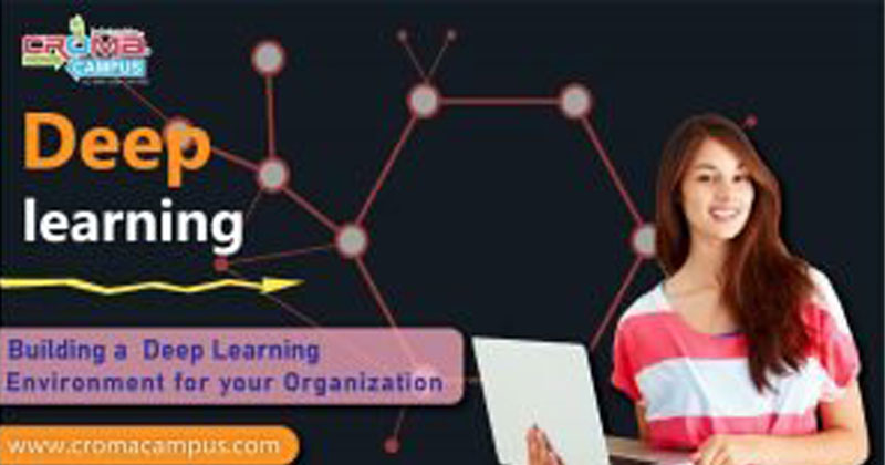 Deep Learning Training