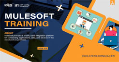 MuleSoft Online Training