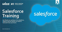 Salesforce Training