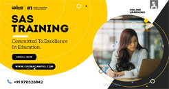 SAS Online Training