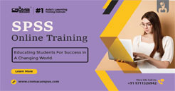 SPSS Online Training