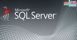 SQL Server Database Training in Noida