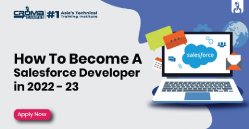 Become A Salesforce Developer