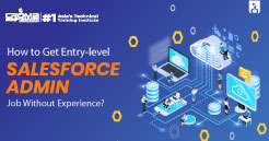 Entry-level Salesforce Admin Job Without Experience
