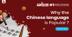 Chinese Language