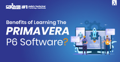 Benefit Of Learning The Primavera P6 Software