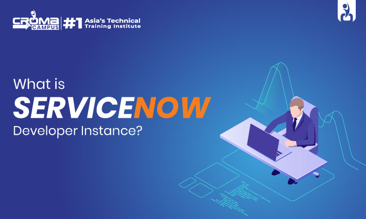 What Is ServiceNow Developer Instance