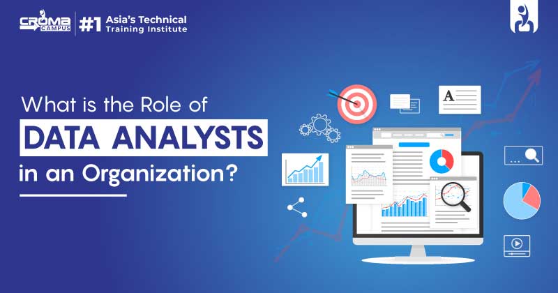 Data Analysts Training