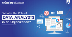 Data Analysts Training