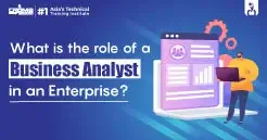 Business Analyst role in an Enterprise