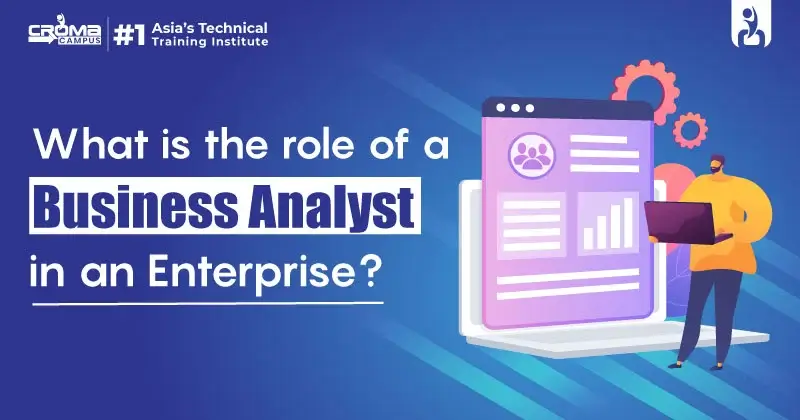 Business Analyst role in an Enterprise