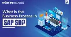 What Is The Business Process In SAP SD?