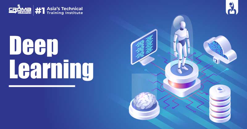 Deep Learning Training