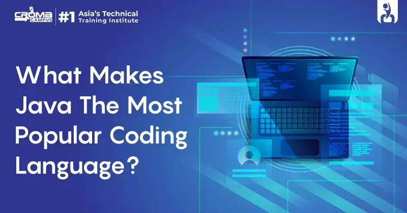 What Makes Java The Most Popular Coding Language?