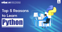 Top 5 Reasons to Learn Python