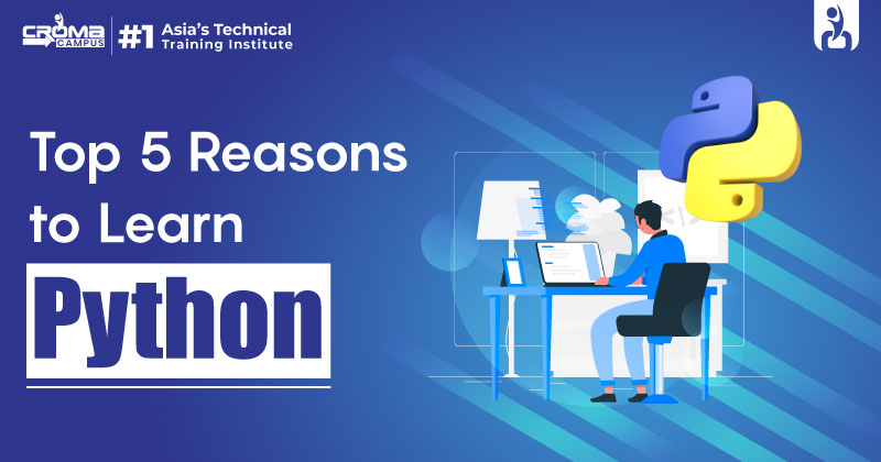 Top 5 Reasons to Learn Python