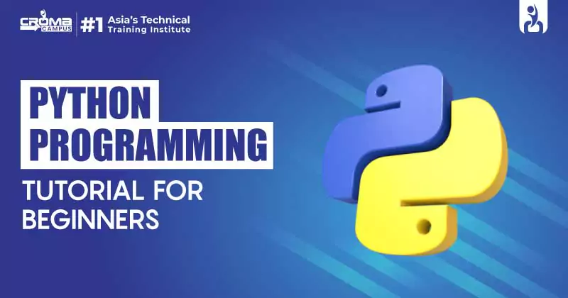 Python Programming Tutorial for Beginners