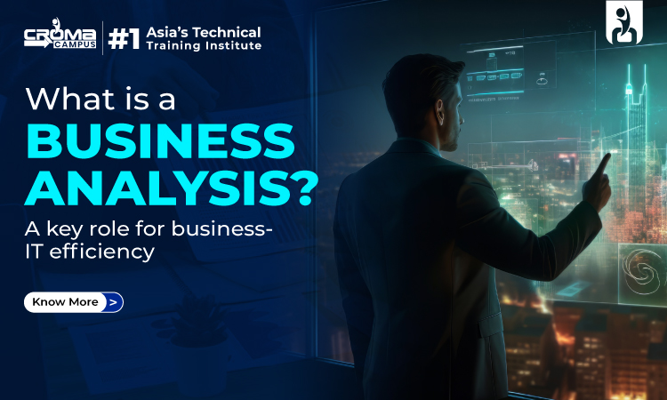 What is Business Analysis