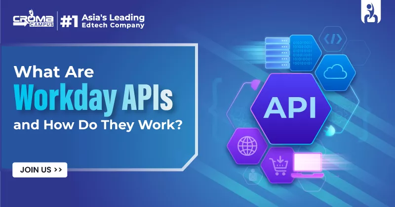 What Are Workday APIs and How Do They Work?