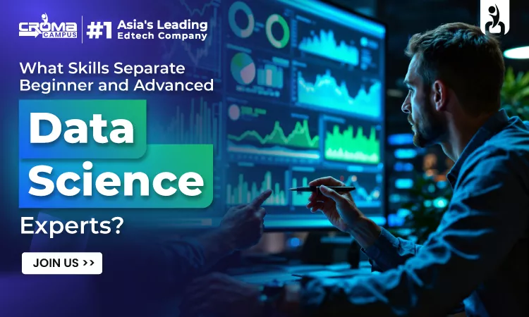 What Skills Separate Beginner and Advanced Data Science Experts?
