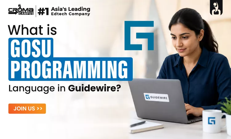 What is Gosu Programming Language in Guidewire?