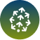 Pinecone
